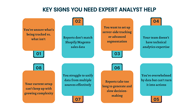 Expert Analyst