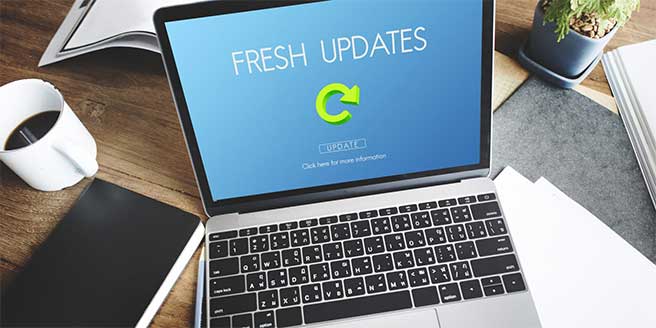 Google Penguin Update