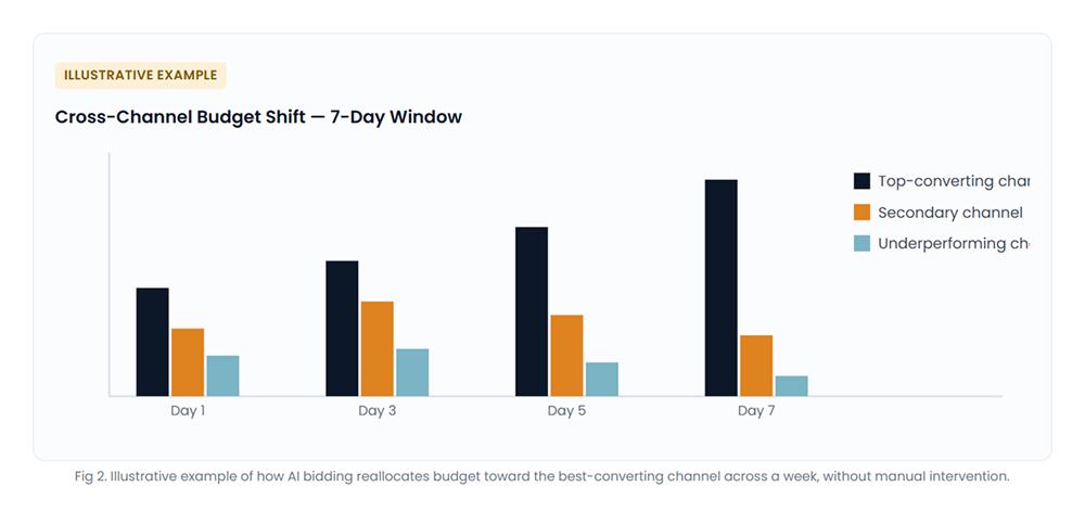 Budget Allocation